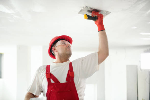 Reliable Grape Creek, TX Dry wall and painting Solutions